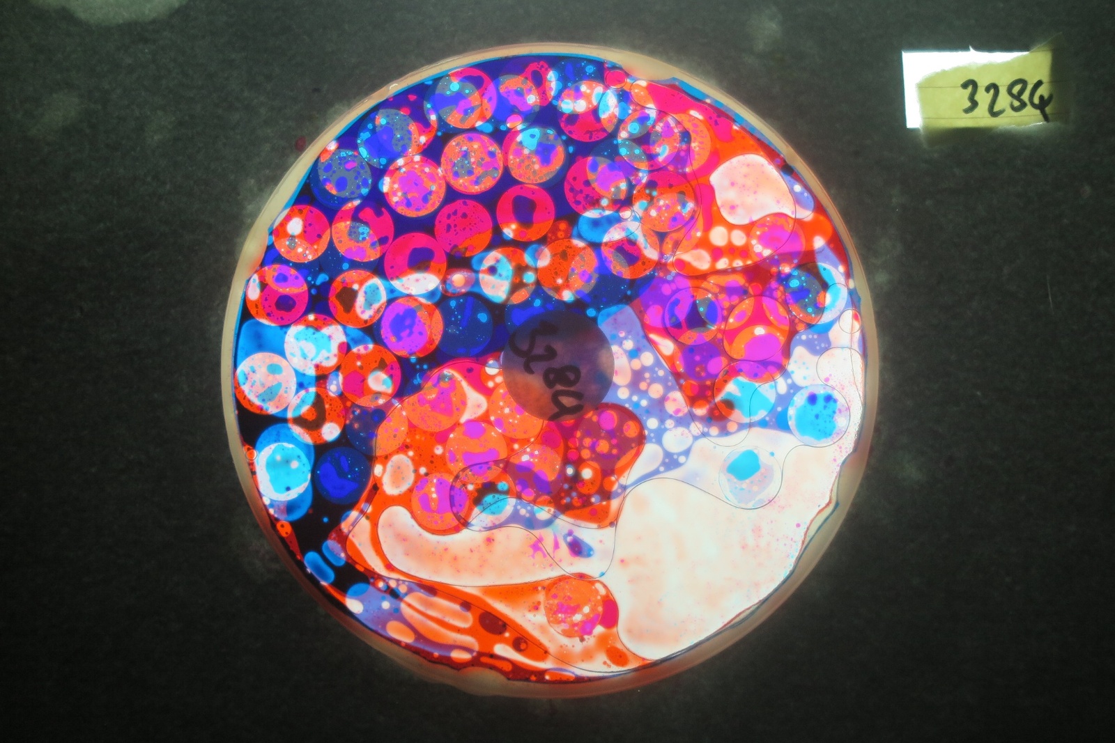 BV3284 bubble vision oil wheel